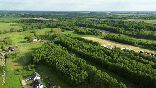 Foto Green trees in peaceful untouched environment