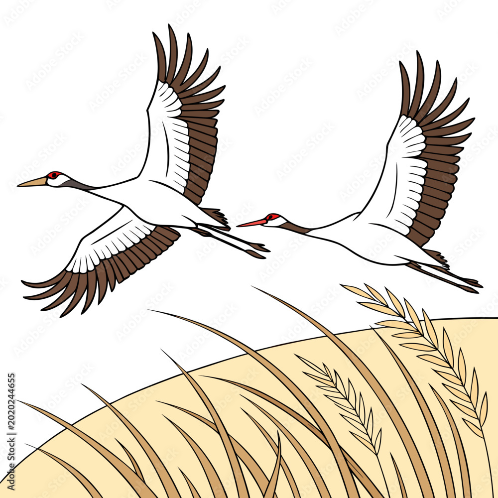 Fototapeta premium Two cranes in flight over golden wheat field colorful illustration on a white background