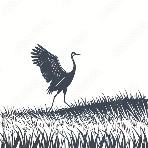 Photography Heron silhouette with wings spread walking through tall grass against a white ba