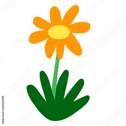 Hand drawn orange flower plant illustration isolated on transparent background.