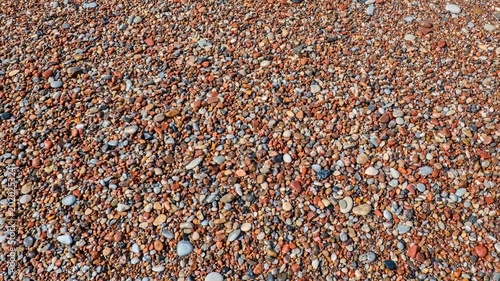 Canvas Print Colorful sea pebbles texture background on a beach