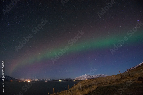 Bilde på lerret Aurora borealis and STEVE light phenomenon over northern Iceland mountains and s