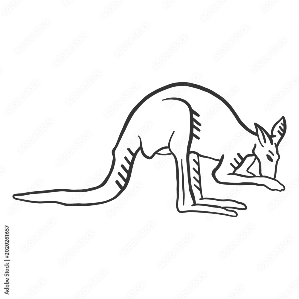 Foto Kangaroo tail ear leg doodle
