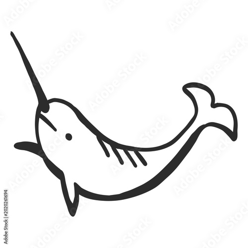 Obraz na płótnie Narwhal tusk tail flipper doodle