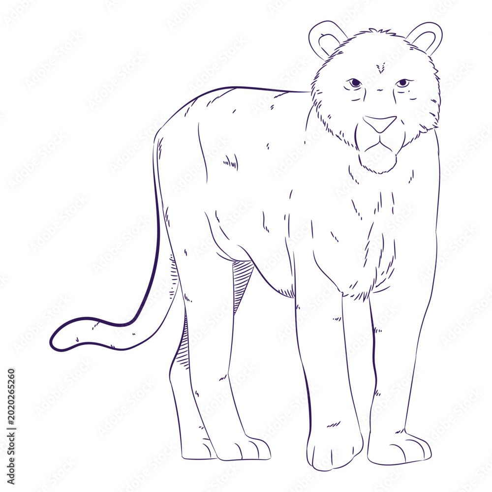 Ταπετσαρία Wild animal tiger hand drawn