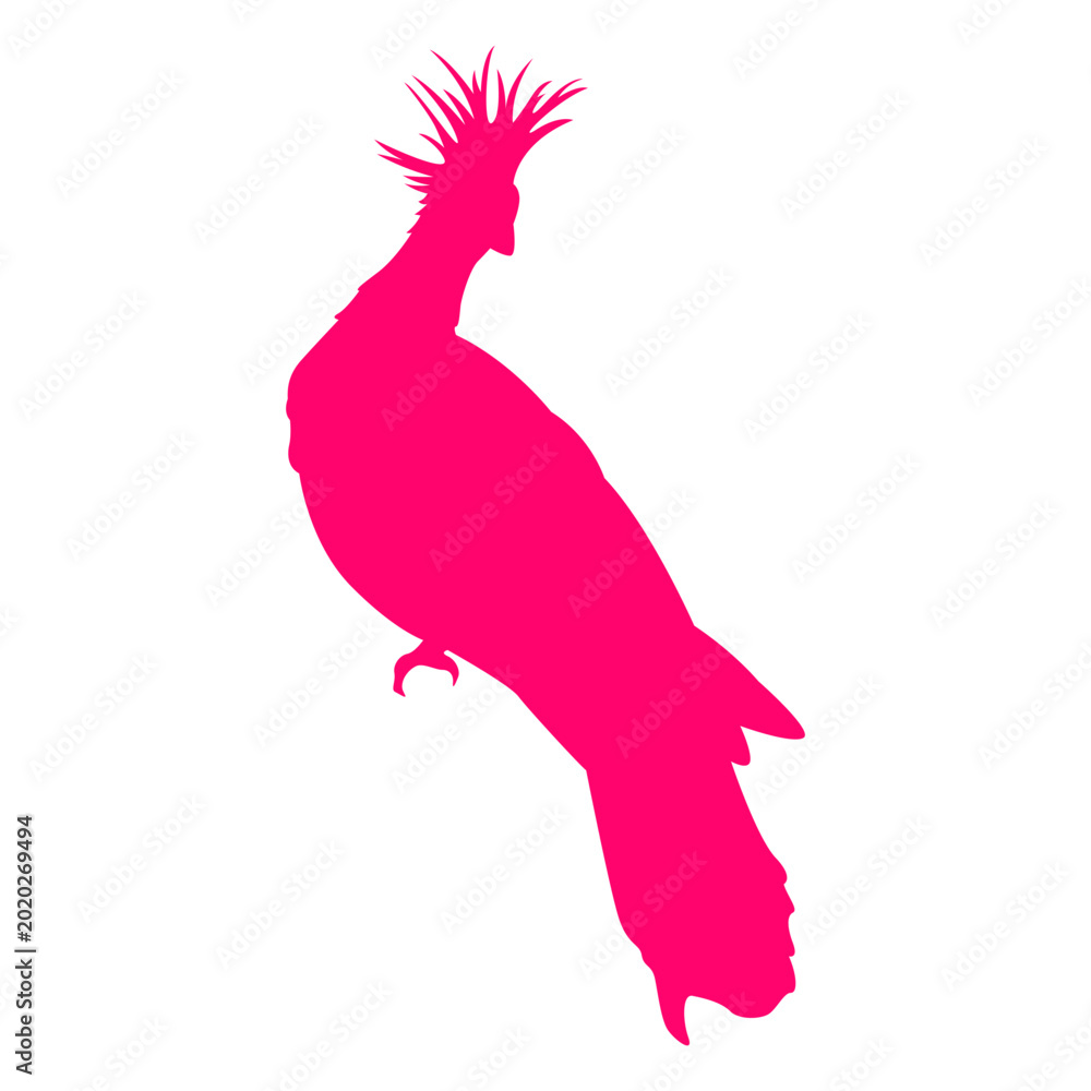 Obraz premium Crowned crane flying bird silhouette