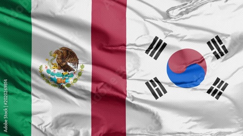 A horizontal merge of Mexico and South Korea flags symbolizes their soccer match rivalry.