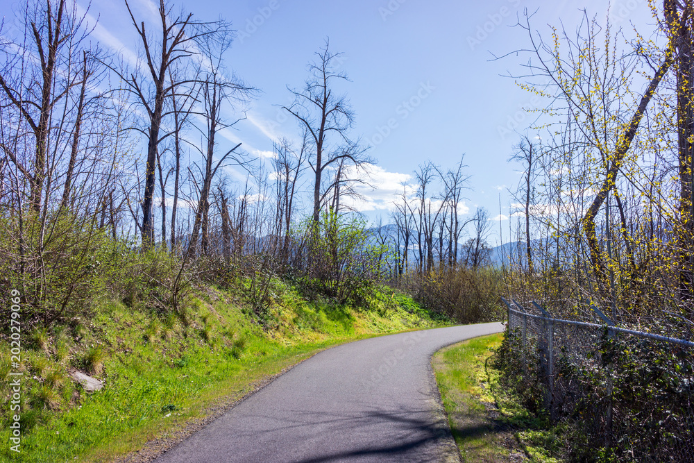Obraz premium Winter On The Bear Creek Greenway
