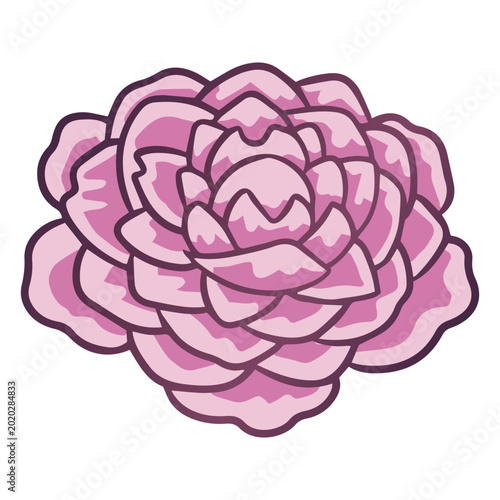 Tableau sur toile Graceful flower with alluring petals