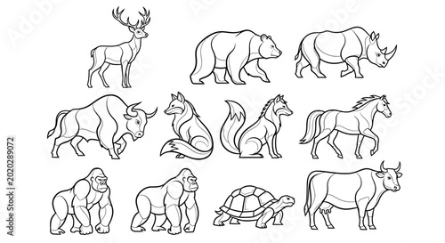 Foto Wildlife icons, animal line art, 10 species illustrations, black and white vecto