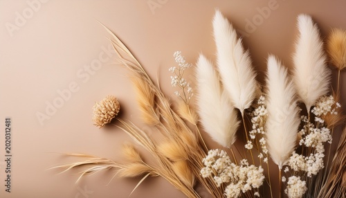 beige background with dry pampas grass and white dried flowers featuring copy space