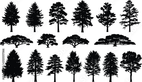 Foto Collection of Diverse Tree Silhouettes