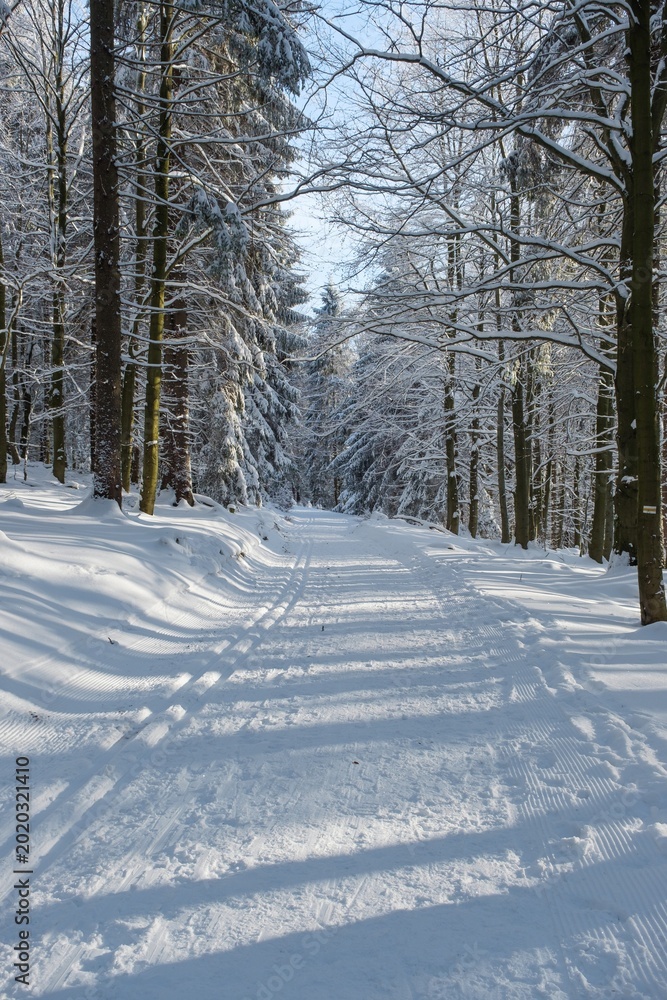 Obraz premium snow covered road in winter