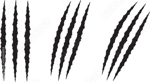 Obraz na plátně Three sets of sharp, jagged claw marks rendered in black on a white background,