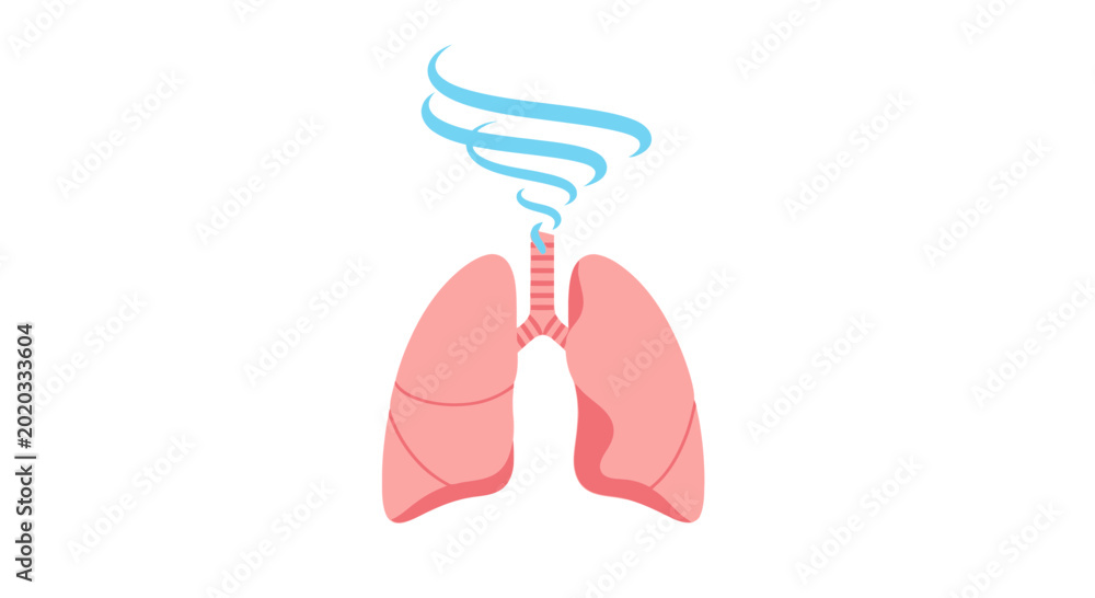 Εκτύπωση καμβά Illustration of lungs with airflow, representing breathing and respiratory healt