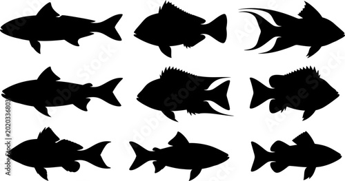 Photos Nine black silhouette vector graphics of diverse fish species on white