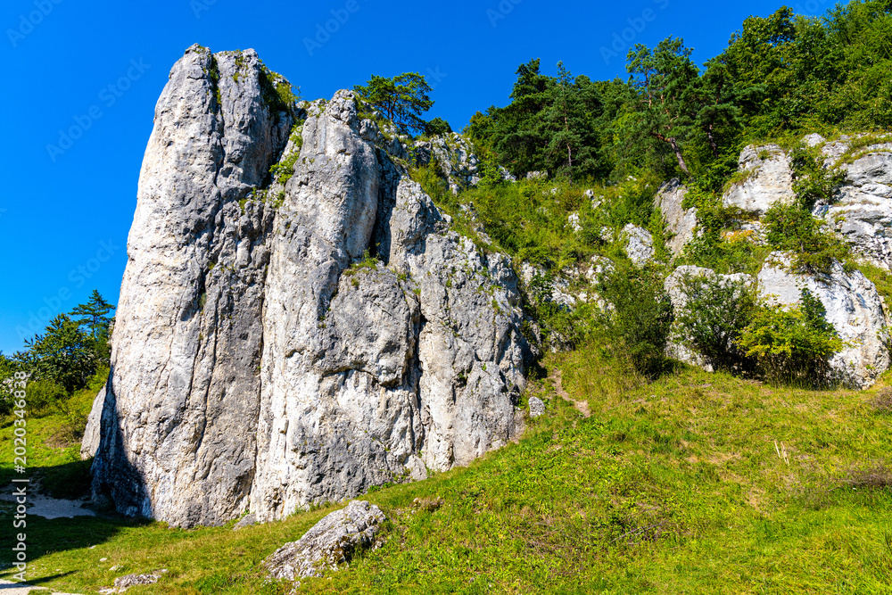 Φωτογραφία Filar Abazego Abazy Pillar Jurassic rock, part of Brama Bolechowicka Gate limest