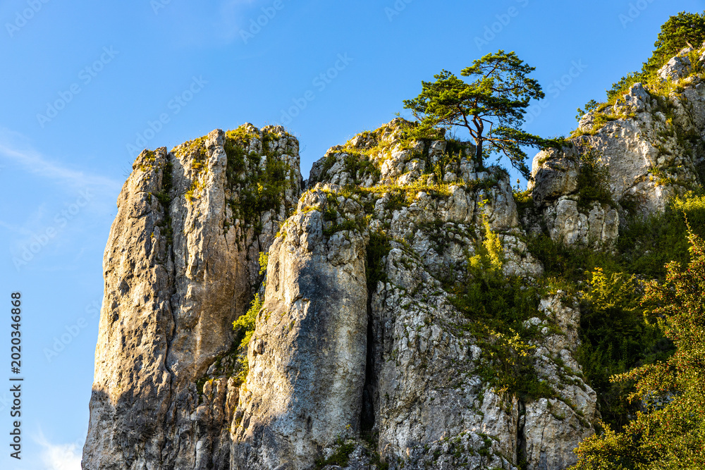 Φωτογραφία Filar Abazego Abazy Pillar Jurassic rock, part of Brama Bolechowicka Gate limest