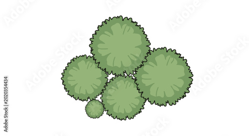 Fotografi Top view of a group of five green bushy plants with a textured, fluffy appearance