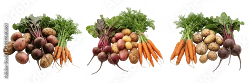 Panel kuchenny z motywem Set and collection of fresh root vegetables with leaves isolated on white background