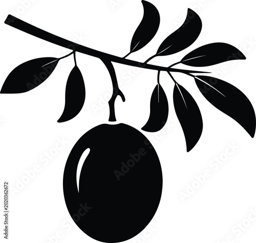 Cuadro en lienzo Silhouette design of an olive branch with fruit vector