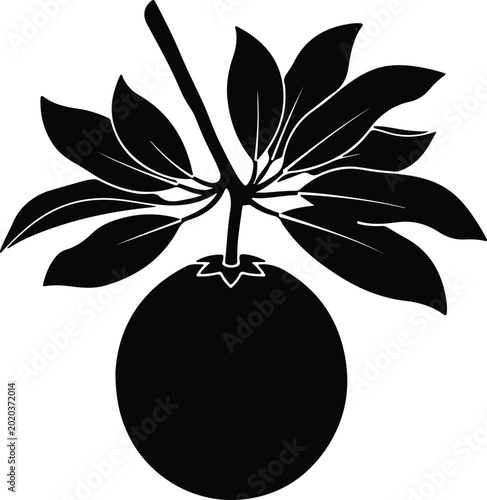 Bild auf Leinwand Silhouette design of a single fruit with leaves vector