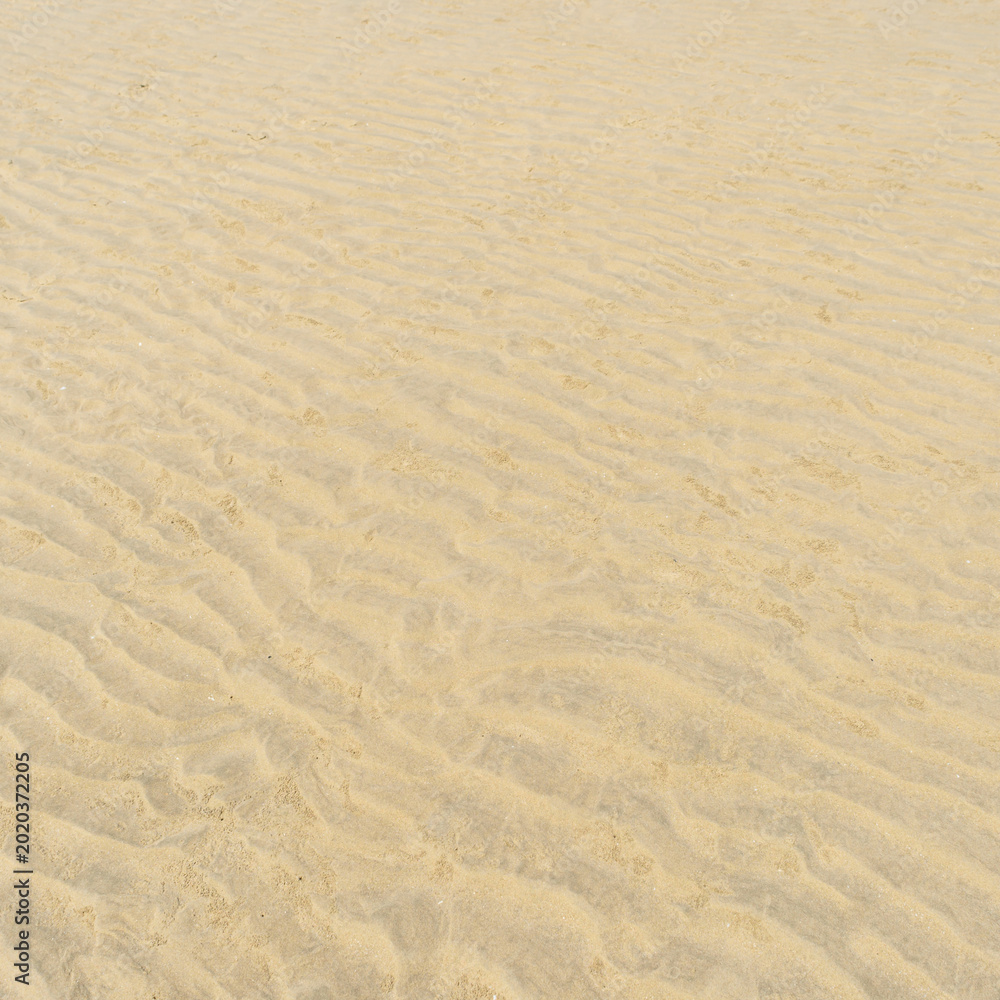 Fototapeta premium sand of a beach