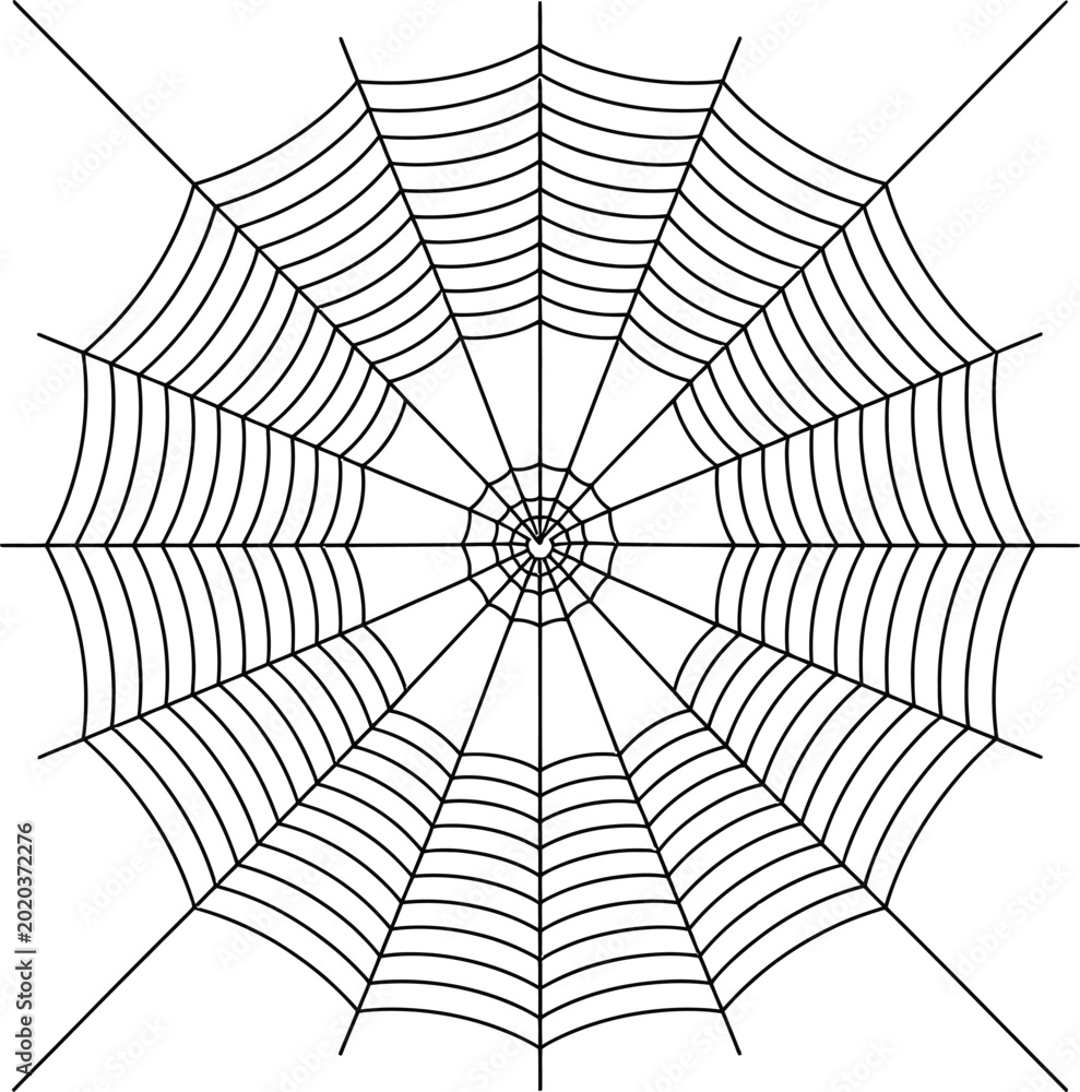 Obraz premium Black and white spider web illustration with circular geometric pattern