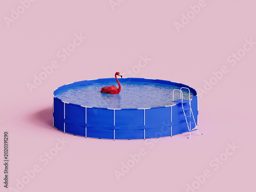 Pink Flamingo swimming in the pool. 3D Rendering, 3D Illustration