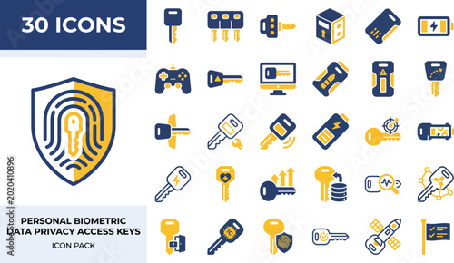 Access key data privacy biometric security and control system icons