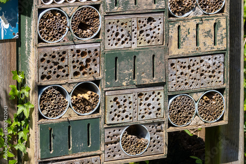 Bild auf Leinwand Insect hotel