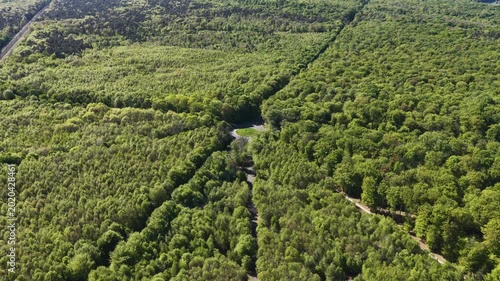 Aerial view of the dense green canopy of the Forest of Fontainebleau with a small road and roundabout under bright sunlight, Fontainebleau, Ile-de-France, France.