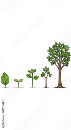 Tree Growth Stages - A Visual Representation of Lifes Journey.