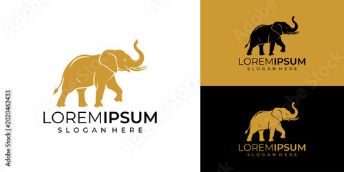 Photography Elegant elephant logo designs with modern typography and scalable vector graphic