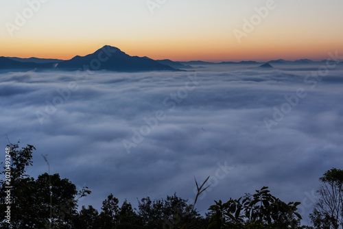 Mountain peaks rising above a sea of mist in Phu Thok, Thailand. Dense fog covers the landscape during sunrise. Early morning light illuminates the scenic view.