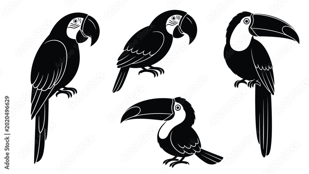Obraz premium Set of black silhouettes of parrots and toucans, tropical birds isolated on white background.
