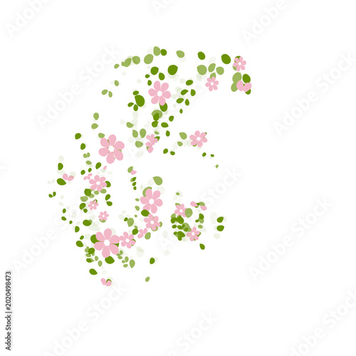 Sring flower petals 