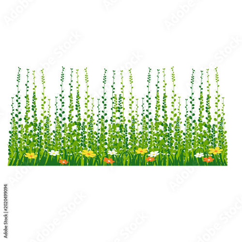 Green grass garden 