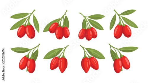 Set of eight illustrations of goji berries on branches with green leaves, isolated on a white background.
