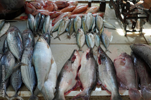 Foto Fresh fish at a local market