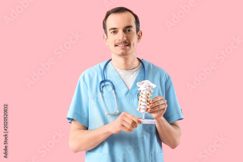 Male doctor with spine mode...
