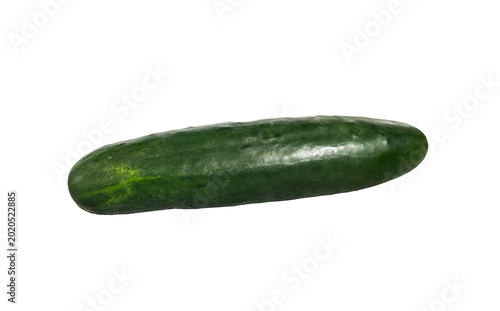 Tableau sur toile Pepino fresco verde aislado sobre fondo negro para alimentación saludable