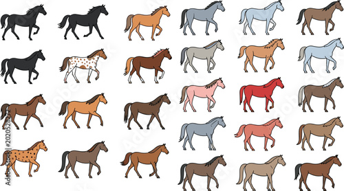 Photos Horse Breeds Illustration Set with Various Colors and Poses of Running and Walki