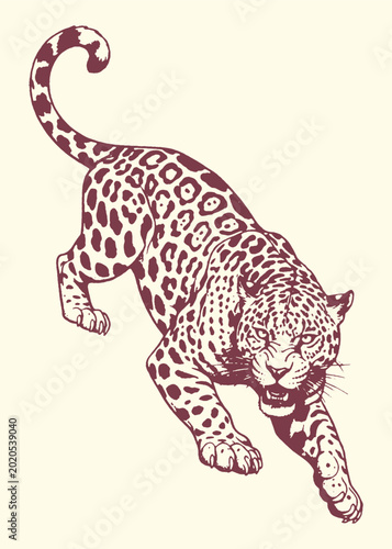 Fotografie Aggressively posed jaguar with spotted fur big cat predator wildlife camouflage