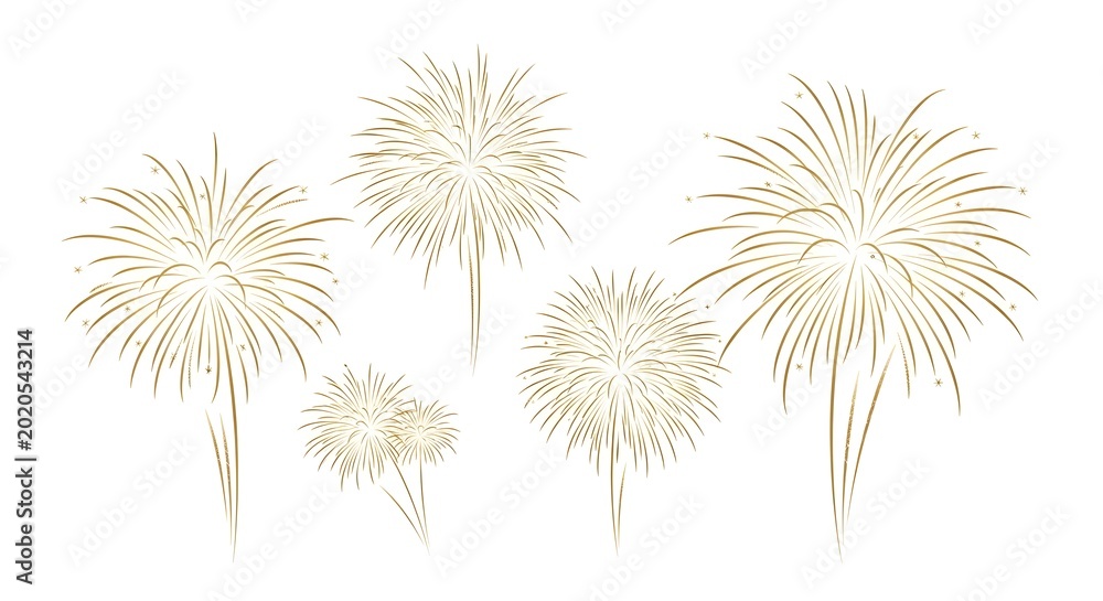 Obraz premium Celebratory Fireworks Display Lighting Up Night Sky.