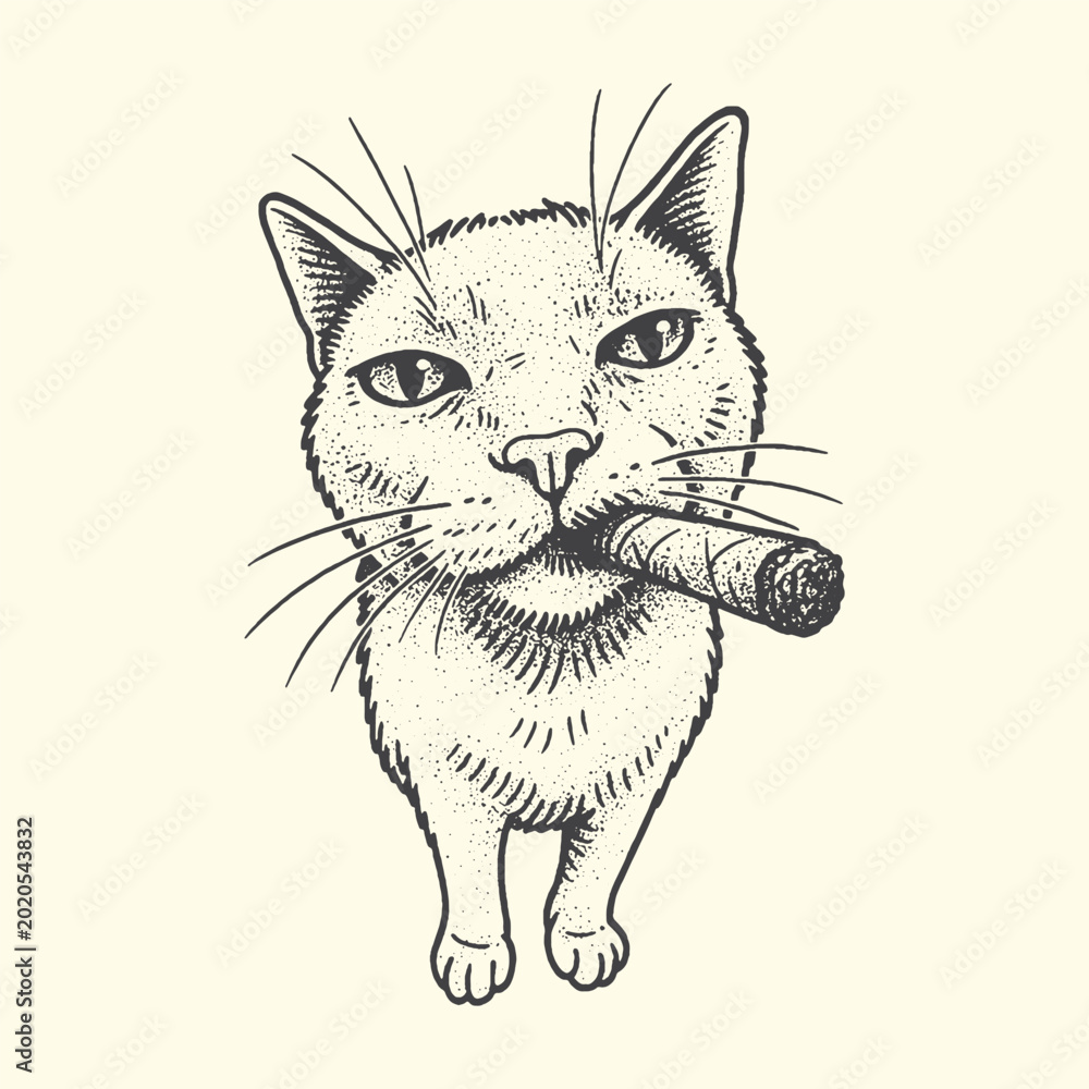 Fototapeta premium Cat smoking a cigar with whiskers and sparkles animal portrait animal face animal head animal photography animal behavior domestic animal whiskers attitude illustration character lifestyle