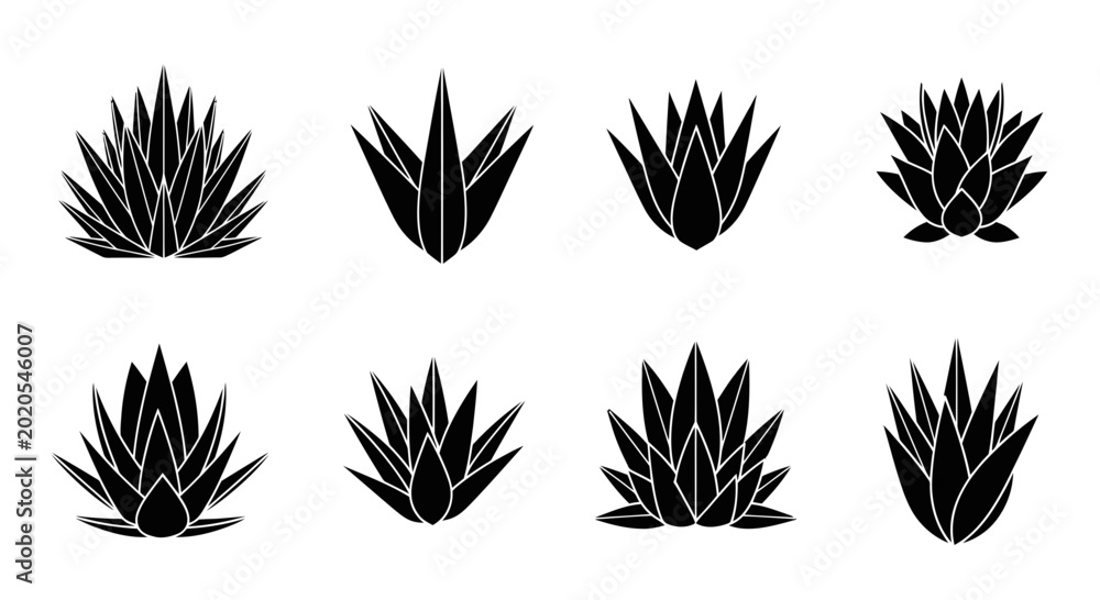 Foto Agave Plant Silhouettes Vector Set