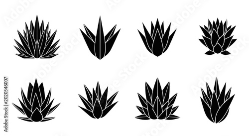 Bild auf Leinwand Agave Plant Silhouettes Vector Set