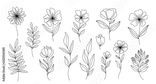 Bild auf Leinwand Minimalist line drawing floral illustrations with leaves and stems