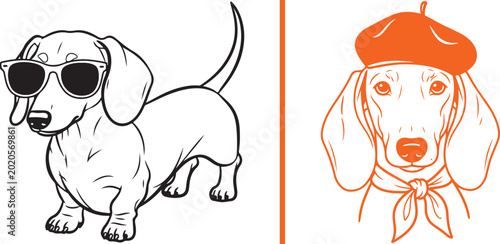 Dachshund dog wearing sunglasses and a beret with a scarf. Vector illustrations of a cool dog.
